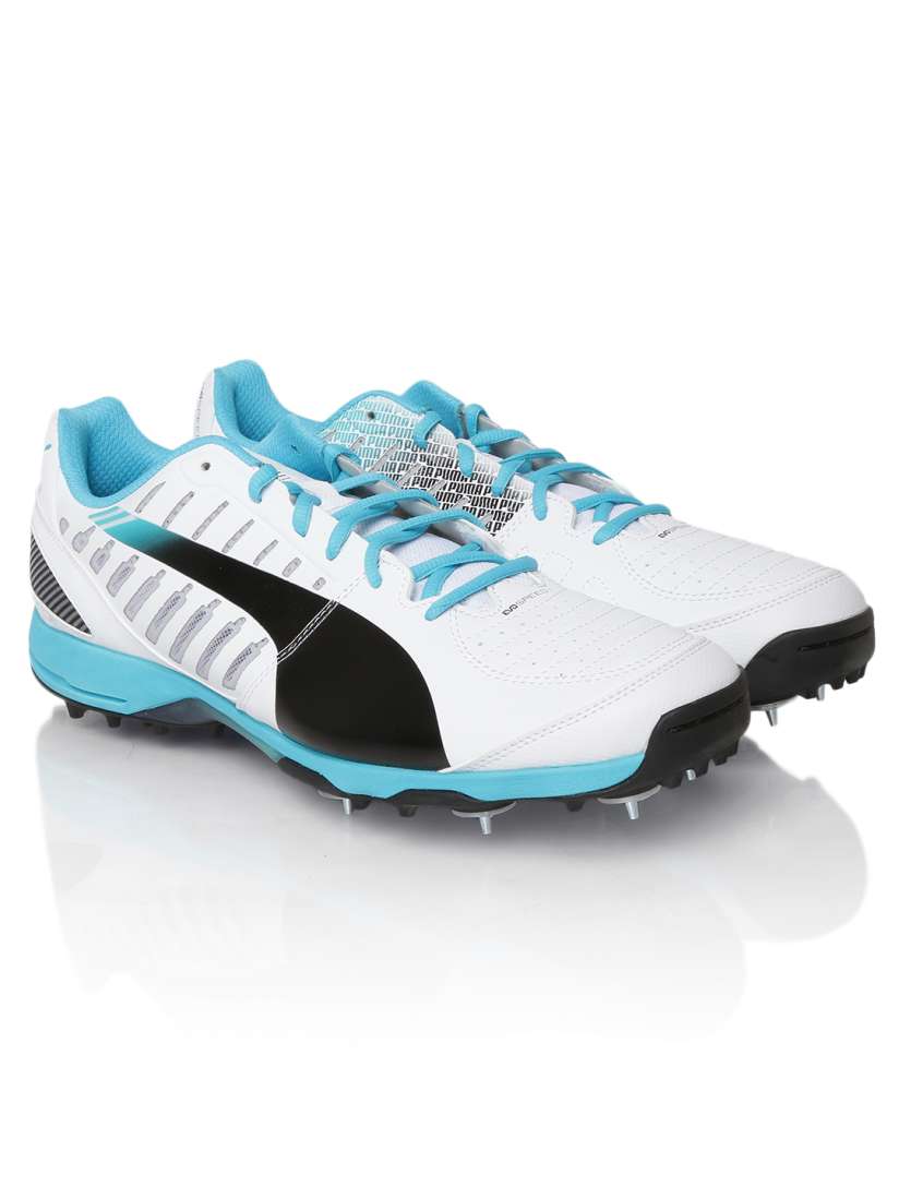 Puma evospeed cricket shoes green store