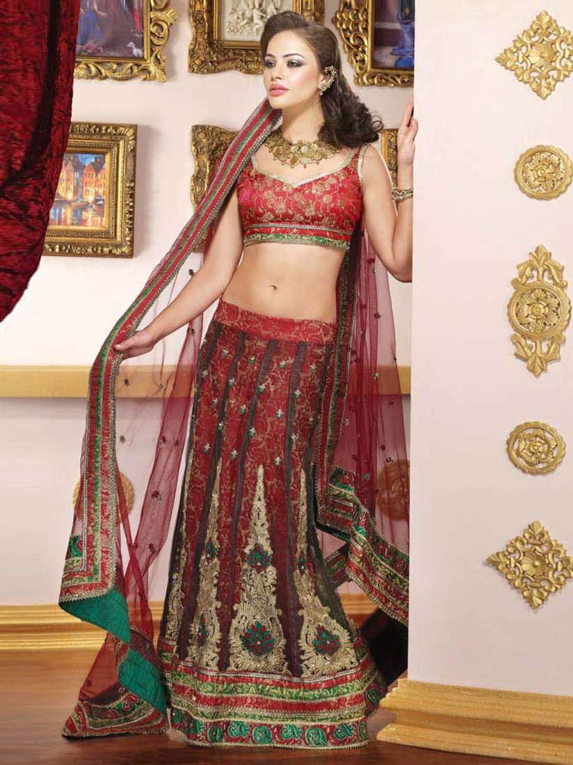 Parvati choli top