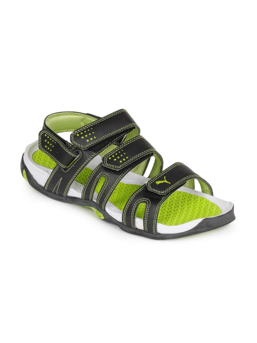 Puma aripon online