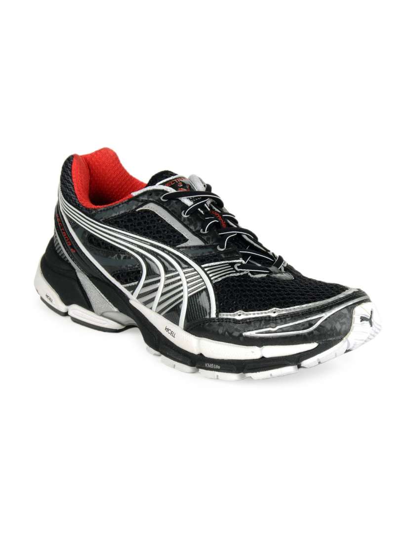 Puma vectana clearance