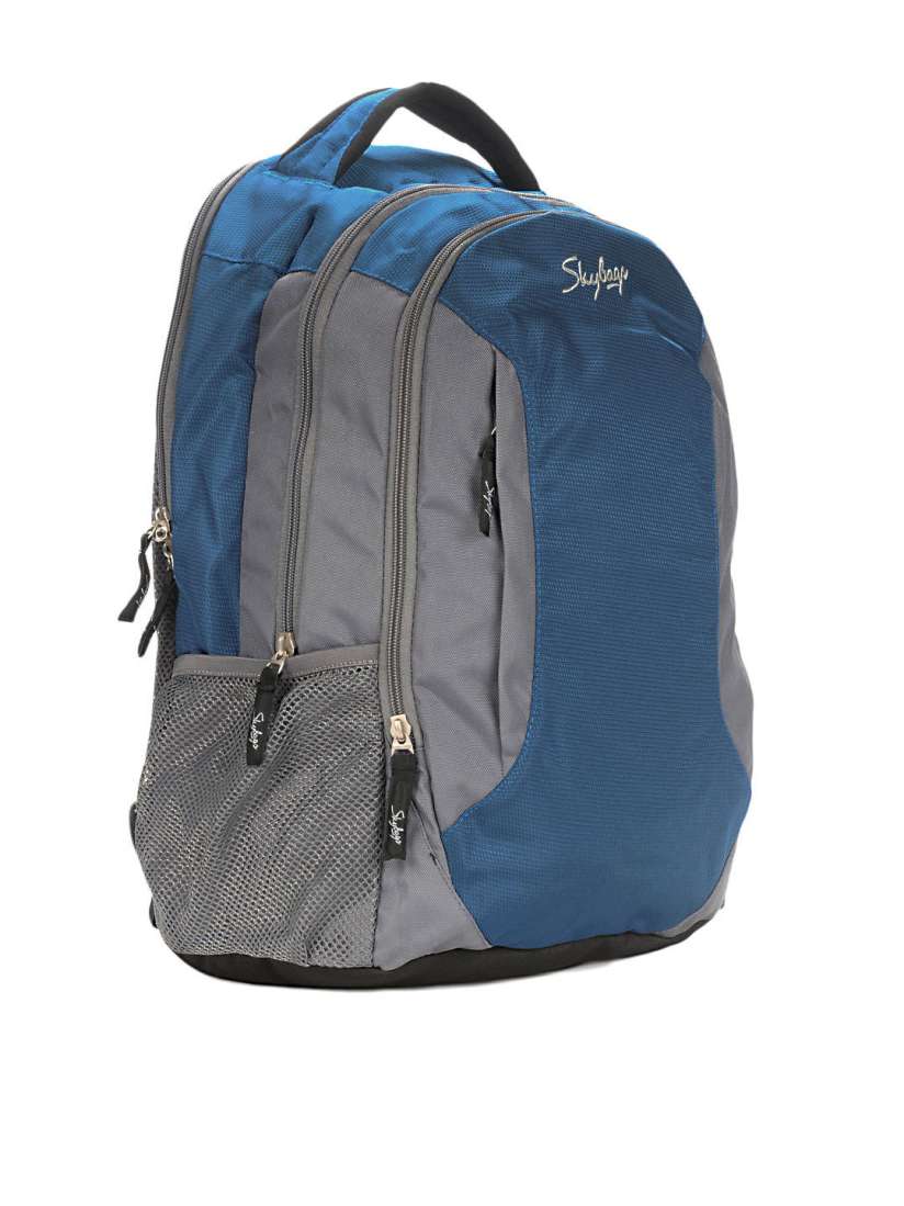 Skybags rider backpack hot sale