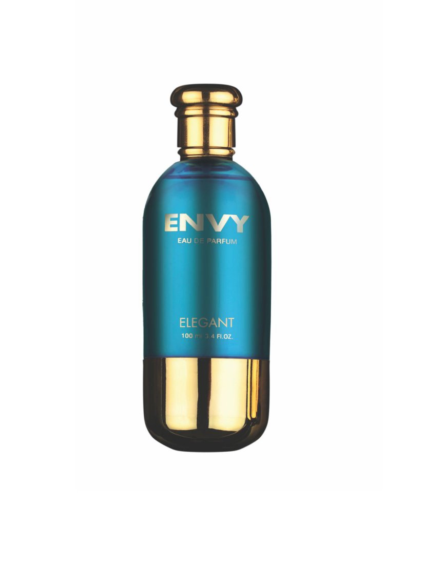 Buy Envy Men Elegant Eau De Parfum 100 Ml Perfume And Body Mist for Men 4374581 Myntra
