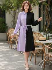 Buy LERIYA FASHION Colourblocked Shirt Collar Curved Shirt Dress
